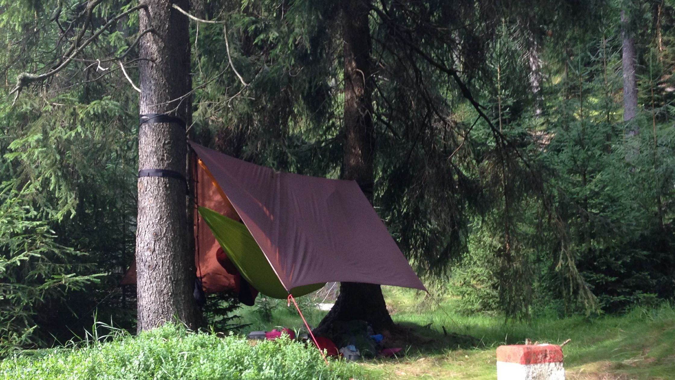 Jaki materiał na tarp